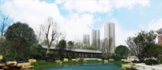 公众号