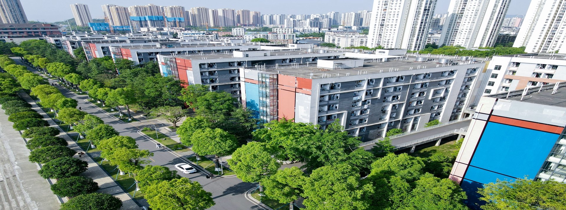 金沙国际app的校园被青春的激情与梦